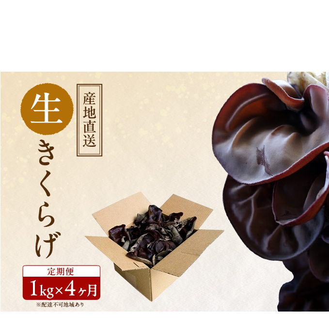 【 産地直送 】 有機JAS 生きくらげ 定期便 1kg×4ヶ月 オーガニック きくらげ きのこ 野菜 岡山県 玉野市 栽培期間中化学肥料不使用 栽培期間中農薬不使用 野菜セット