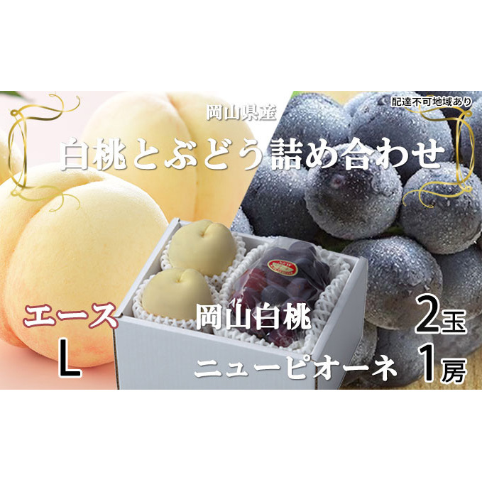 ぶどう 2026年 先行予約 岡山 白桃 エース 2玉×約200g(Lサイズ、早生種・中生種)ニュー ピオーネ 1房約400g  詰め合わせ 岡山県産 フルーツ