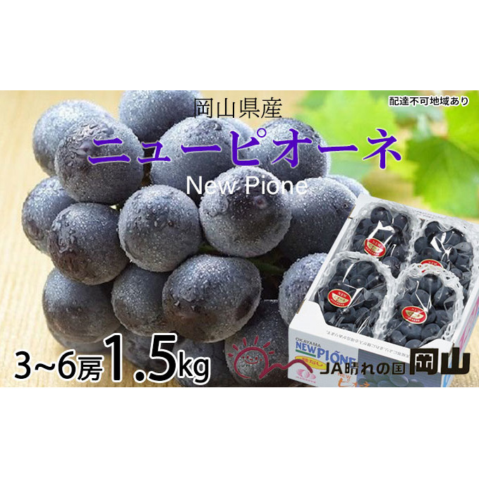 ぶどう 2026年 先行予約 ニュー ピオーネ 3房～6房 約1.5kg ブドウ 葡萄  岡山県産 国産 フルーツ 果物 ギフト 果物類 ニューピオーネ 酸味 大粒 種なし 人気 高糖度 甘い 果汁 