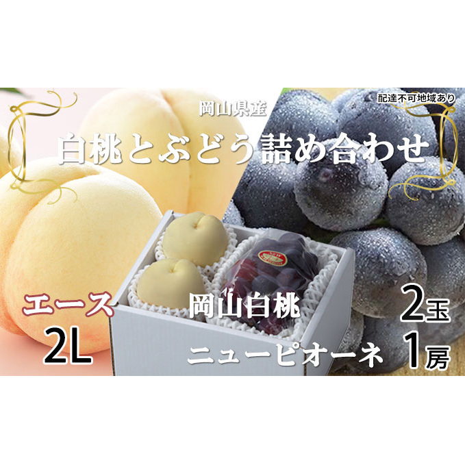 桃 ぶどう 2026年 先行予約 岡山 白桃 エース 2玉×約250g(2Lサイズ、早生種・中生種)ニュー ピオーネ 約500g×1房  詰め合わせ 岡山県産 フルーツ