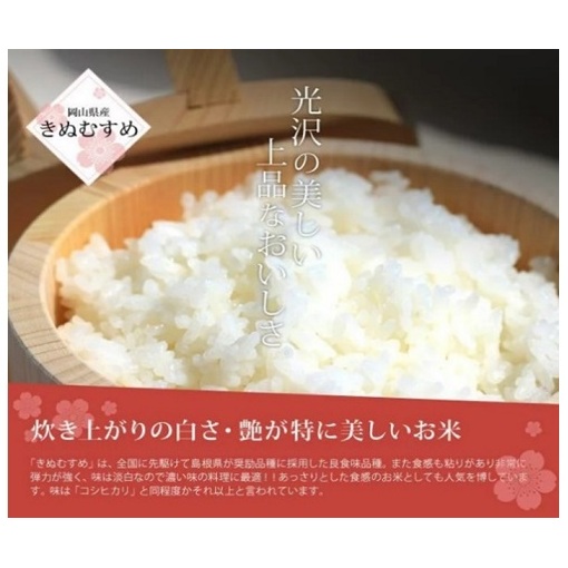 令和5年産 きぬむすめ 15kg (5kg×3袋) 岡山県産 精米 お米 | 岡山県玉野市 | JRE MALLふるさと納税