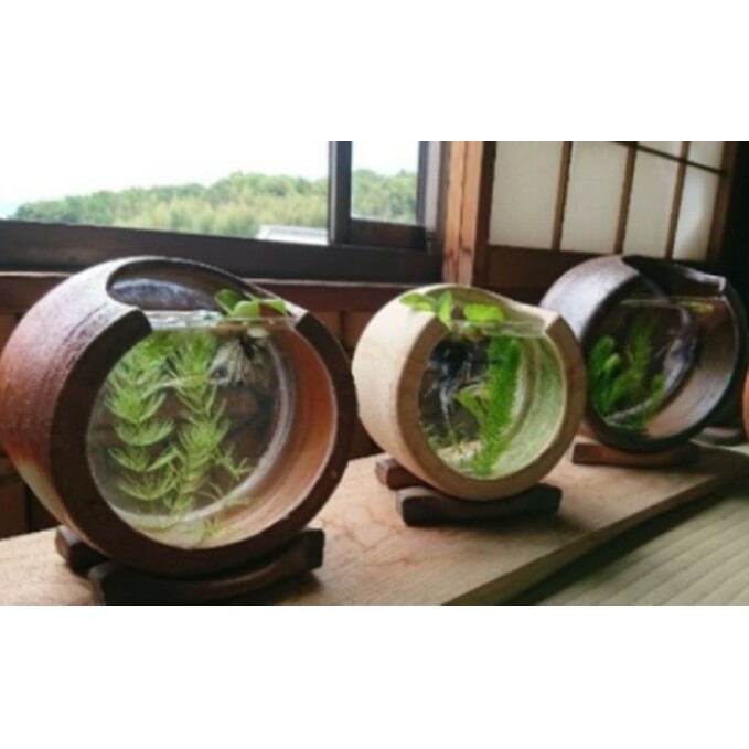 【東児の花窯】備前焼 めだか鉢 ベージュ 緋襷(ひだすき) 民芸品 工芸品 インテリア