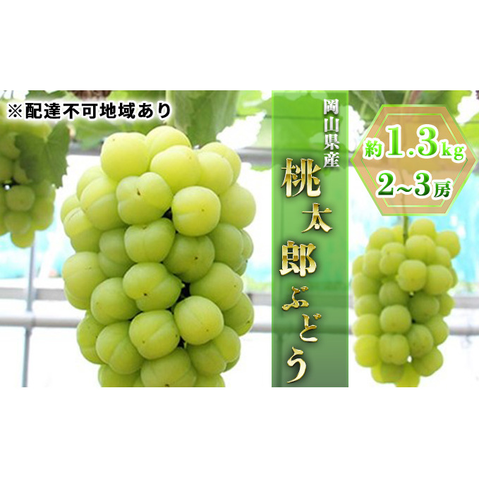 ぶどう 2026年 先行予約 桃太郎ぶどう約1.3kg 2~3房 ブドウ 葡萄  岡山県産 国産 フルーツ 果物 ギフト