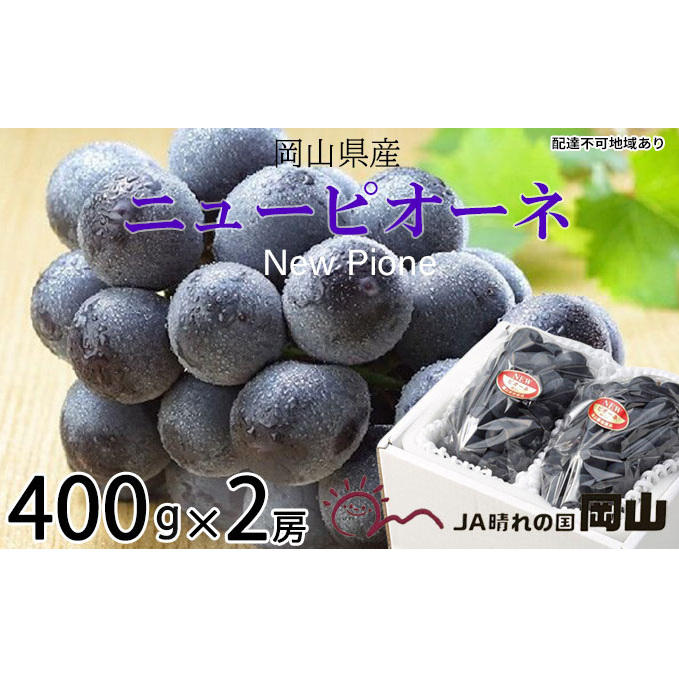 ぶどう 2026年 先行予約 ニュー ピオーネ 約400g×2房 ブドウ 葡萄  岡山県産 国産 フルーツ 果物 ギフト 果物類 ニューピオーネ 酸味 大粒 種なし 人気 高糖度 甘い 果汁 