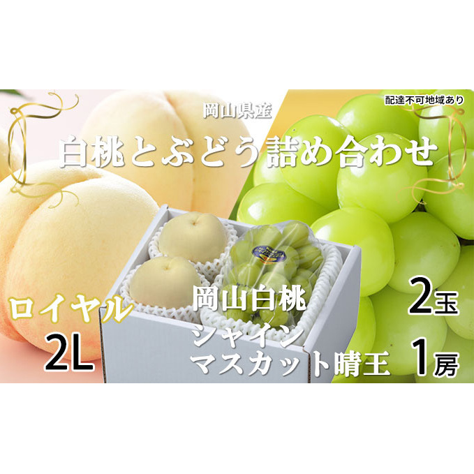 桃 ぶどう 2026年 先行予約 岡山 白桃 ロイヤル 2玉×約250g(2Lサイズ、早生種・中生種)シャイン マスカット 晴王 1房約500g  詰め合わせ 岡山県産 フルーツ