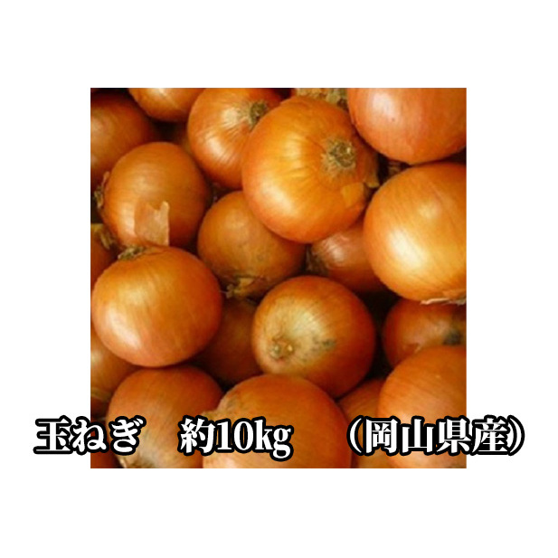 先行予約 玉ねぎ 約10kg(岡山県産) 晴れの国ファーム 野菜 万能 食材