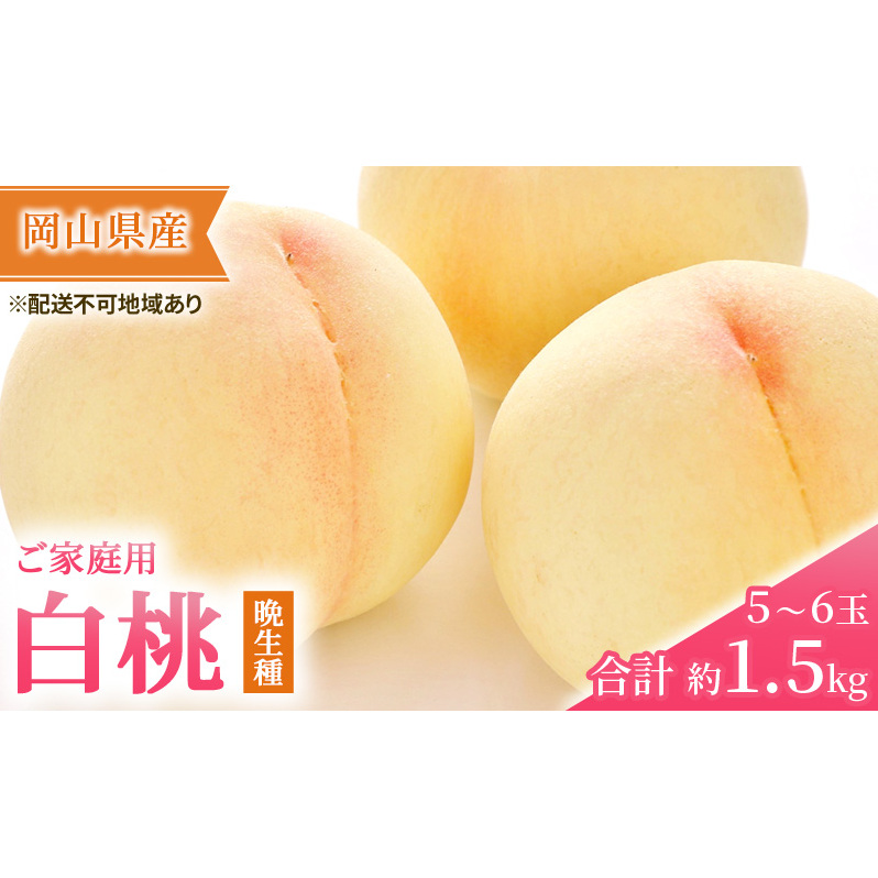 桃 2025年 先行予約 ご家庭用 白桃（晩生種）5～6玉 合計約1.5kg もも モモ 岡山県産 国産 フルーツ 果物 ギフト フルーツ果肉 