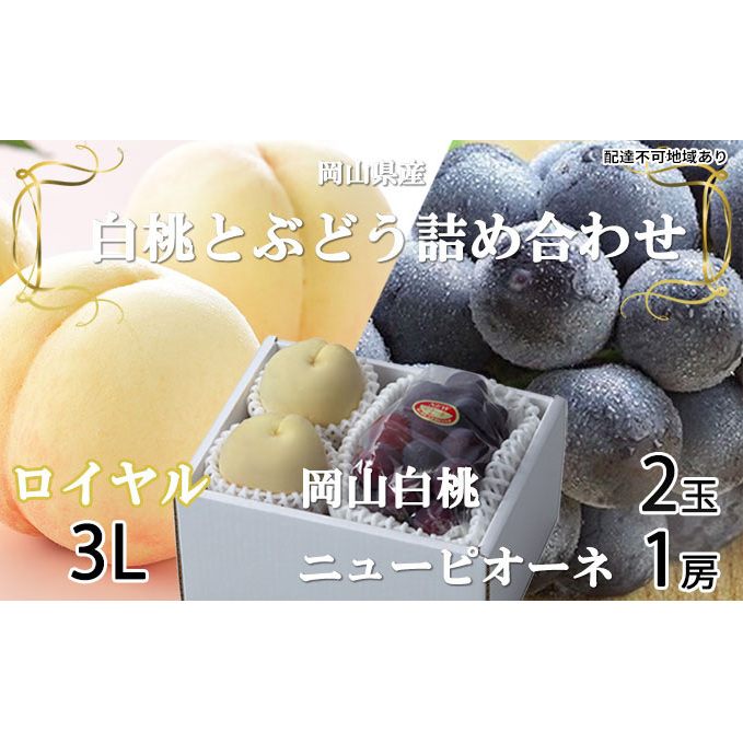 桃 ぶどう 2026年 先行予約 岡山 白桃 ロイヤル 2玉×約300g(3Lサイズ、早生種・中生種)ニュー ピオーネ 1房約600g  詰め合わせ 岡山県産 フルーツ