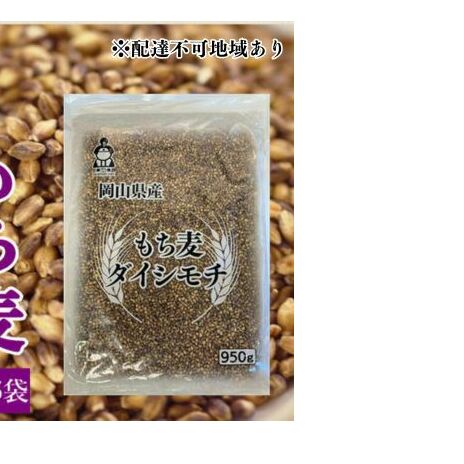 お米 もち麦 米 【通年出荷】岡山県玉野市産 もち麦 ダイシモチ 950g×5袋