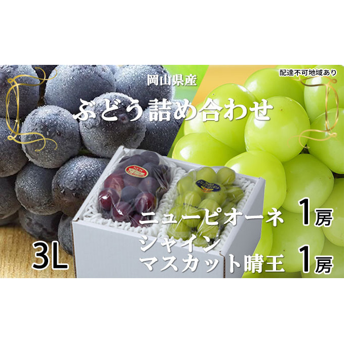ぶどう 2026年 先行予約 ニュー ピオーネ 1房 約600g シャイン マスカット 晴王 1房 約600g（3Lサイズ）詰め合わせ 岡山県産 国産 フルーツ 果物 ギフト 大粒 種なし 高糖度 甘い セット 