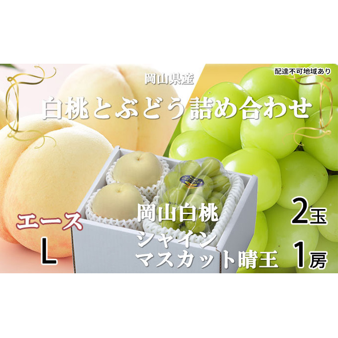 桃 ぶどう 2026年 先行予約 岡山 白桃 エース 2玉×約200g(Lサイズ、早生種・中生種)シャイン マスカット 晴王 1房約400g  詰め合わせ 岡山県産 フルーツ