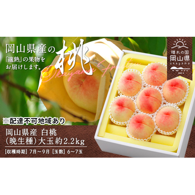 桃 2026年 先行予約 白桃 晩生種 大玉 約2.2kg 6~7玉 もも モモ 岡山県産 国産 フルーツ 果物 ギフト