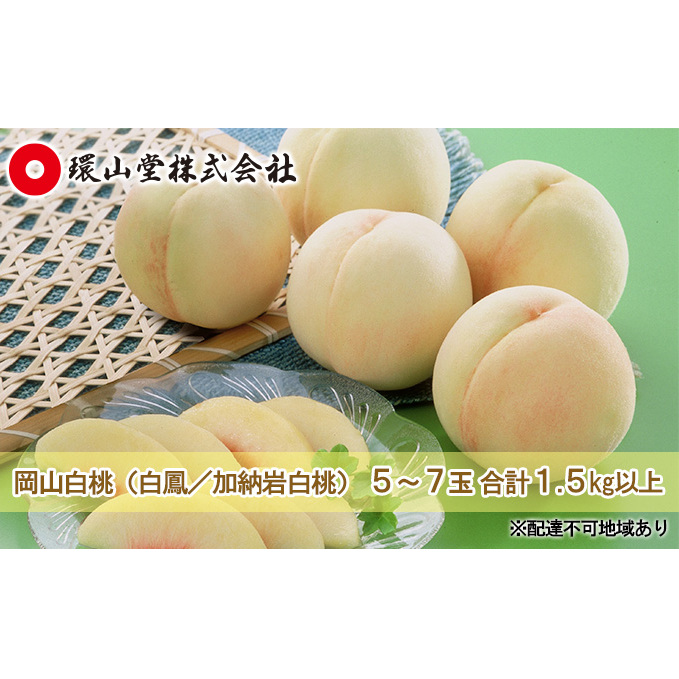 桃 2026年 先行予約 岡山 白桃(品種:白鳳/加納岩白桃)5~7玉 合計1.5kg以上 もも モモ 岡山県産 国産 フルーツ 果物 ギフト 環山堂