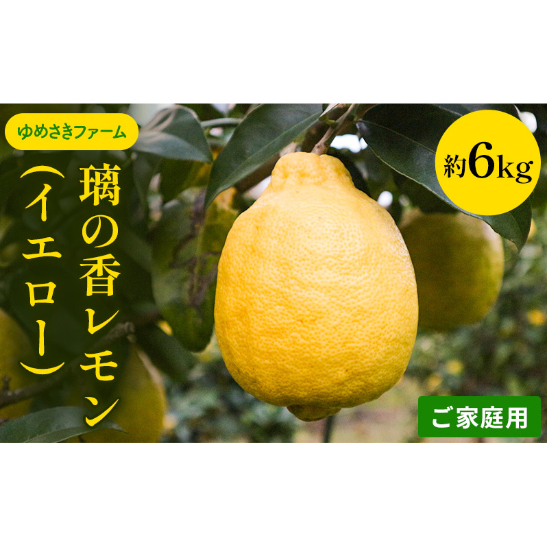 璃の香 レモン イエロー ご家庭用 約6kg れもん 檸檬 柑橘 国産  果汁 果物 フルーツ ゆめさきファーム 