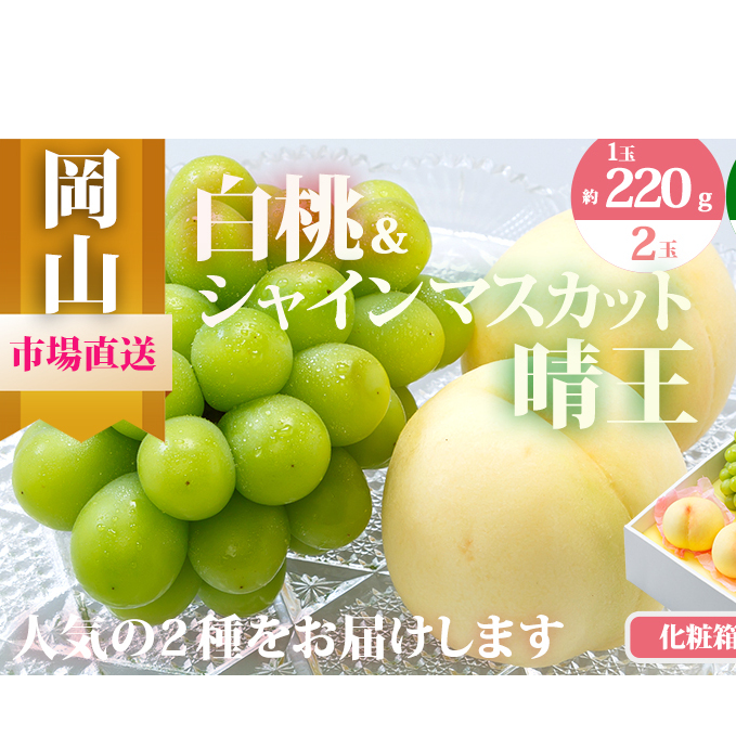 桃 ぶどう 2026年 先行予約 果物 詰合せ 白桃 2玉(1玉220g以上)シャインマスカット 晴王 2房(1房480g以上)化粧箱入り もも 葡萄 岡山県産 国産 フルーツ 果物 ギフト
