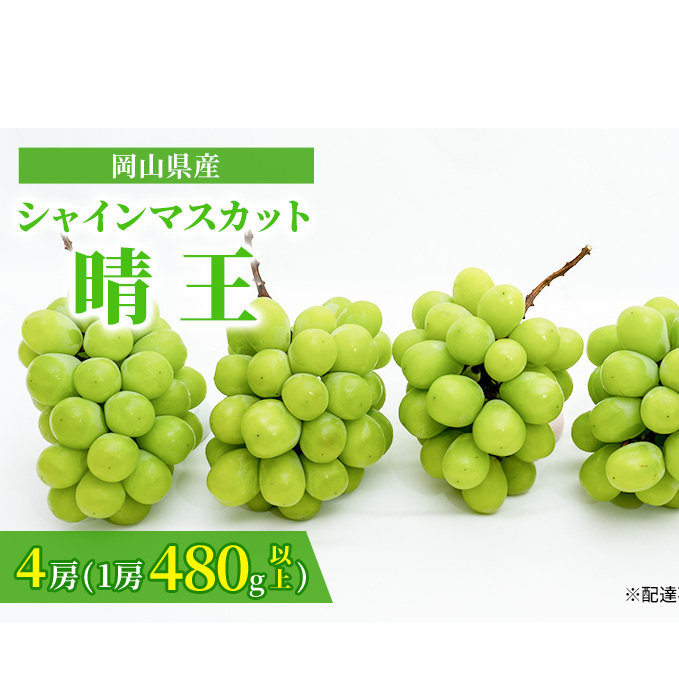 ぶどう 2025年 先行予約 シャイン マスカット 晴王 4房（1房480g以上）約2kg マスカット ブドウ 葡萄 岡山県産 国産 フルーツ 果物  ギフト | 岡山県玉野市 | JRE MALLふるさと納税