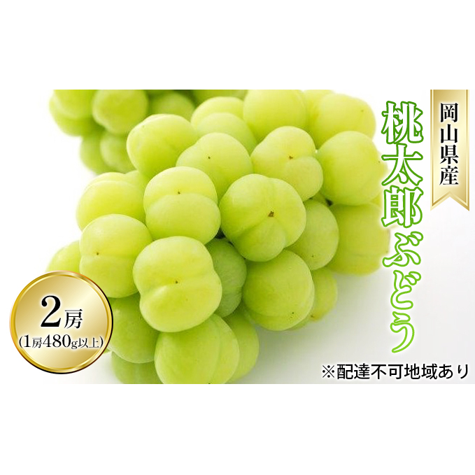 ぶどう 2026年 先行予約 桃太郎 ぶどう 2房(1房 480g以上 ハウス栽培)贈答用 ブドウ 葡萄  岡山県産 国産 フルーツ 果物 ギフト