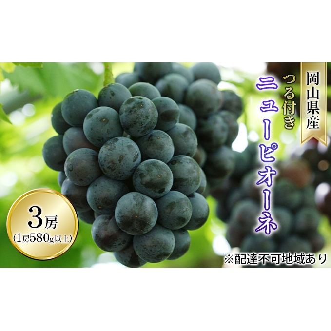 ぶどう 2026年 先行予約 つる付き ニュー ピオーネ 3房入り（1房 580g以上 露地栽培） ブドウ 葡萄  岡山県産 国産 フルーツ 果物 ギフト 