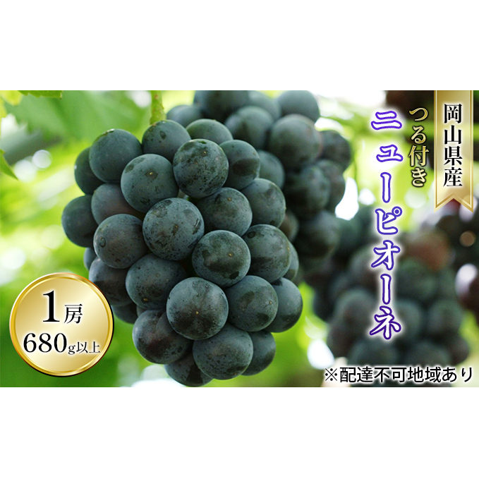 ぶどう 2026年 先行予約 つる付き ニュー ピオーネ 1房 680g以上（露地栽培） ブドウ 葡萄  岡山県産 国産 フルーツ 果物 ギフト 