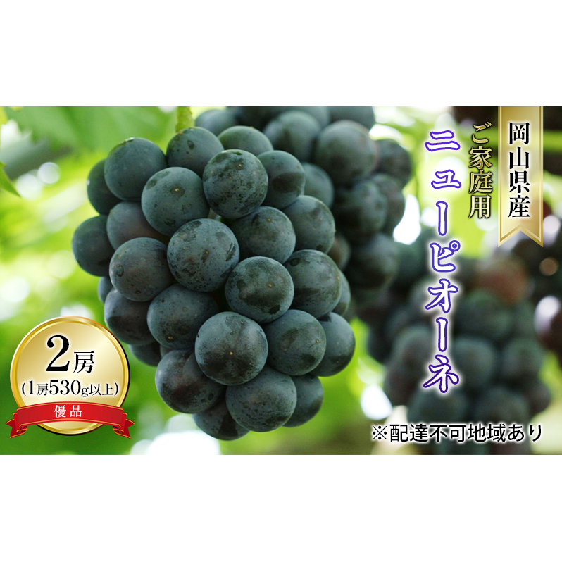 ぶどう 2026年 先行予約 ご家庭用 ニュー ピオーネ 優品 2房入り（1房 530g以上 露地栽培） ブドウ 葡萄  岡山県産 国産 フルーツ 果物 