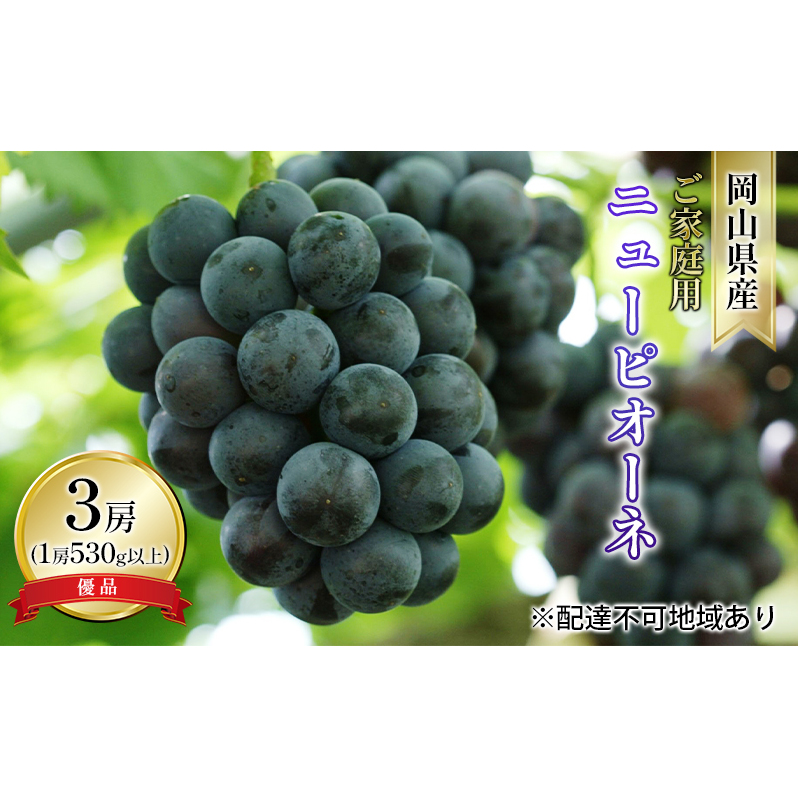 ぶどう 2026年 先行予約 ご家庭用 ニュー ピオーネ 優品 3房入り（1房 530g以上 露地栽培） ブドウ 葡萄  岡山県産 国産 フルーツ 果物 