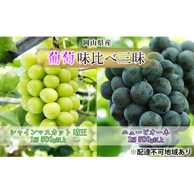 ぶどう 2026年 先行予約 葡萄 味比べ三昧 シャイン マスカット 晴王 1房 580g以上 ニュー ピオーネ 1房 580g以上(ハウス栽培)詰合せ ブドウ 葡萄  岡山県産 国産 フルーツ 果物 ギフト