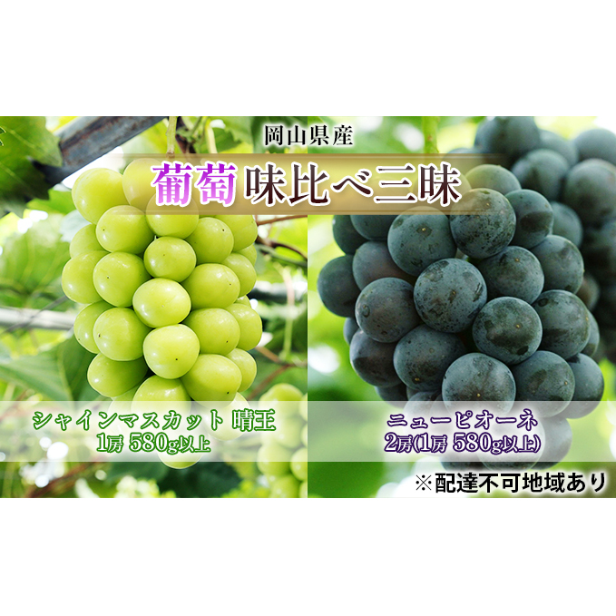ぶどう 2026年 先行予約 葡萄 味比べ三昧 シャイン マスカット  晴王 1房 580g以上 ニュー ピオーネ  2房(1房 580g以上)(ハウス栽培)詰合せ ブドウ 葡萄  岡山県産 国産 フルーツ 果物 ギフト