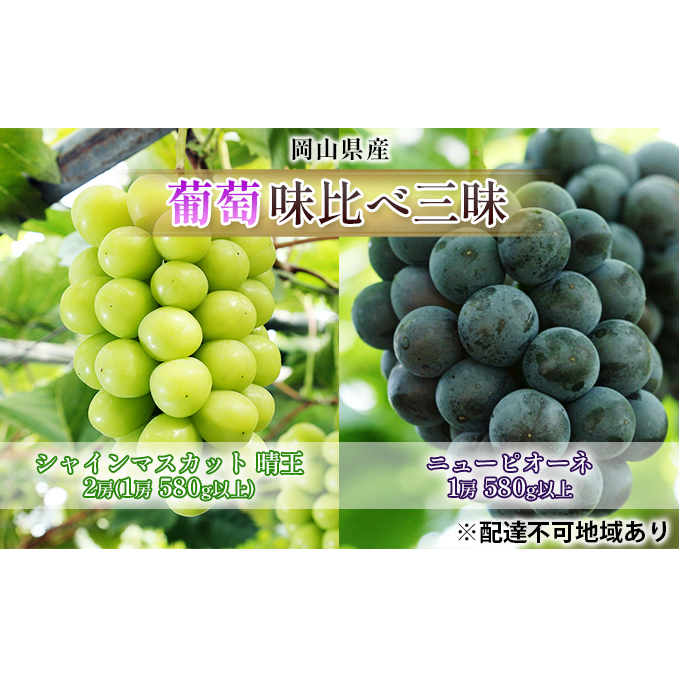 ぶどう 2026年 先行予約 葡萄 味比べ三昧 シャイン マスカット 晴王 2房(1房 580g以上)ニュー ピオーネ  1房 580g以上(ハウス栽培)詰合せ ブドウ 葡萄  岡山県産 国産 フルーツ 果物 ギフト