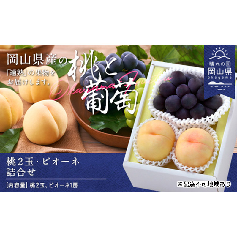 桃 ぶどう 2026年 先行予約 果物 詰合せ 白桃 晩生種 2玉 ニュー ピオーネ 1房 合計約1.0kg もも 葡萄 岡山県産 国産 フルーツ 果物 ギフト