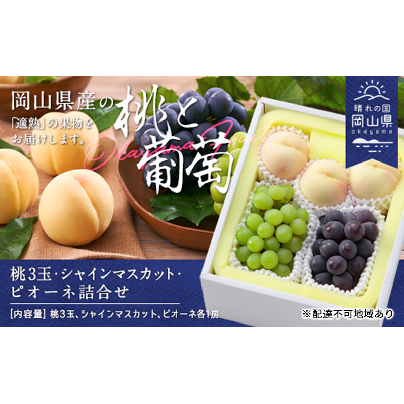 桃 ぶどう 2026年 白桃 晩生種 3玉 シャイン マスカット 1房 ニュー ピオーネ 1房 合計約1.8kg もも 葡萄 岡山県産 国産 フルーツ 果物 ギフト