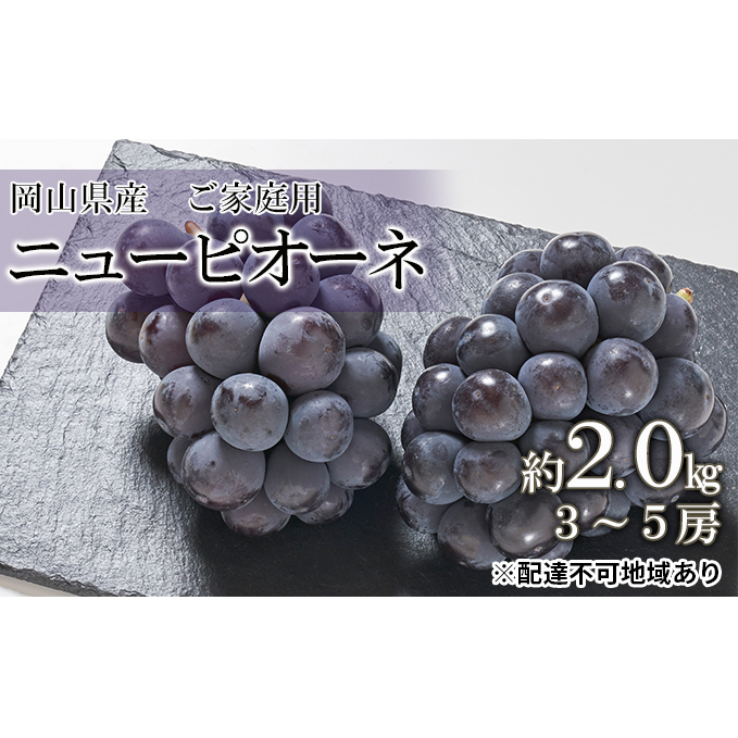 桃 2026年 先行予約 ご家庭用 ニュー ピオーネ 約2.0kg （3～5房） ブドウ 葡萄  岡山県産 国産 フルーツ 果物