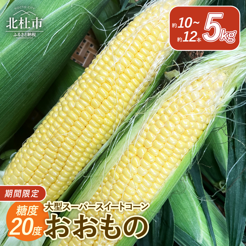 今が旬!茅ヶ岳高原 糖度20度 大型スーパースイートコーン[おおもの]