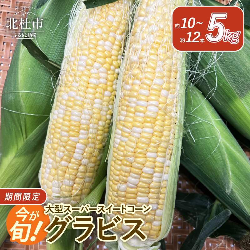 [2025年先行予約]今が旬!茅ヶ岳高原 粒ぞろいよし 大型スーパースイートコーン[グラビス]