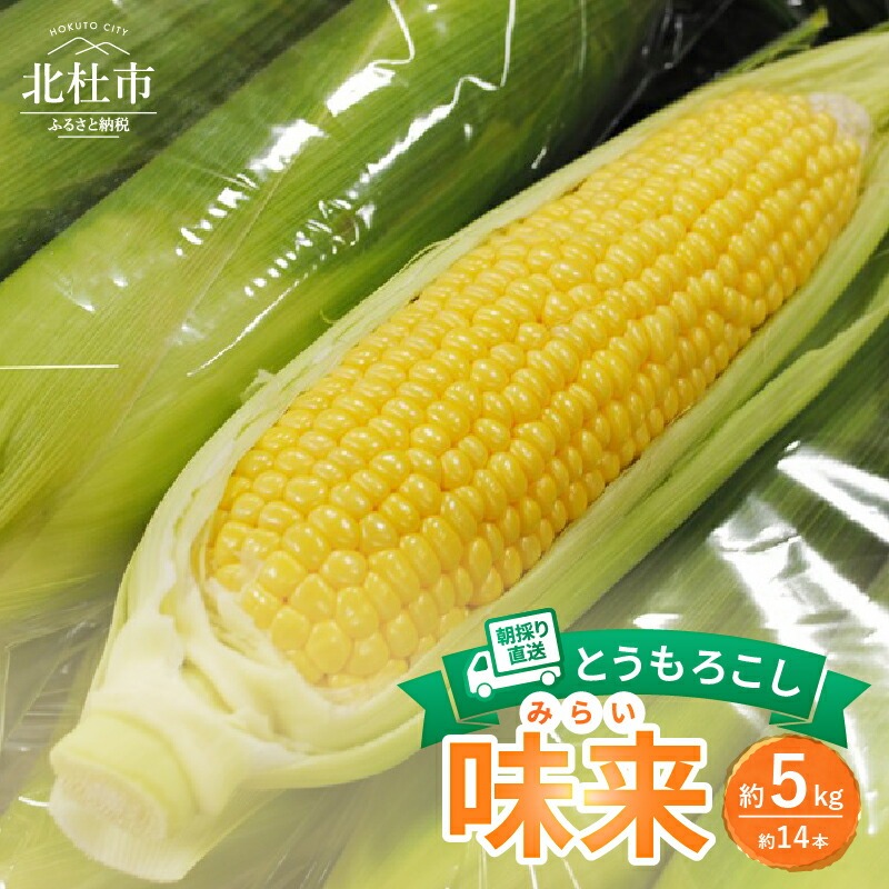 [2025年先行予約]北杜市産とうもろこし『味来』(みらい) 朝採り直送約5kgセット(約14本)