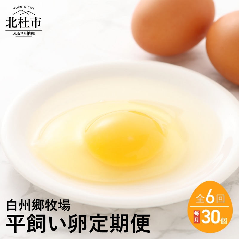 [ふるさと納税] 生卵 卵 たまご 平飼い卵 30個×6ヶ月 定期便 卵かけご飯 新鮮 セット [6ヶ月お届け!]白州郷牧場平飼い卵 30個 送料無料 ※8月・12月は発送停止となります。 送料無料