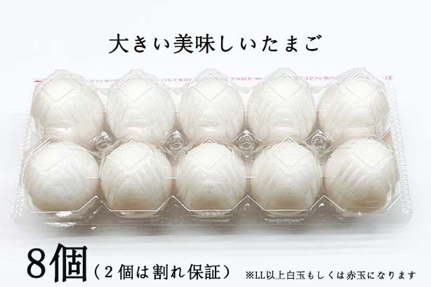 MOTHER 101371298SKO 関税送料込 ONEKOSAMA OINUSAMA 犬 猫 お着換えカバー ペットカート 3WAY