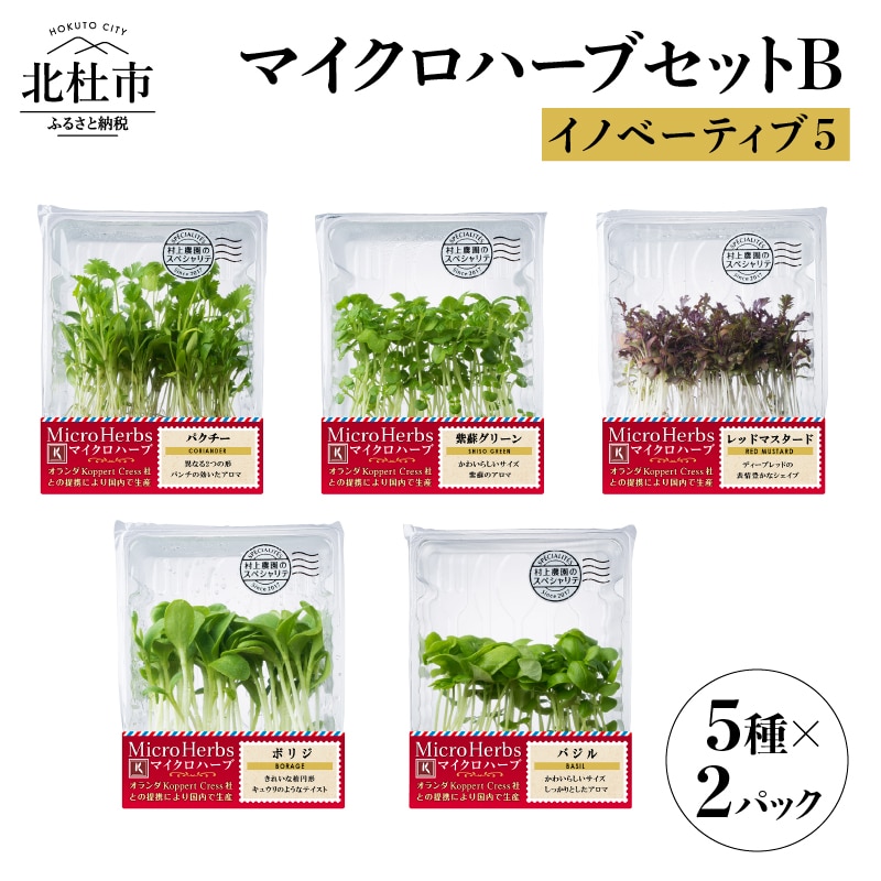 【ふるさと納税】ハーブ セット ５種類 紫蘇グリーン パクチー バジル 紫レッドマスタード ボリジ 村上農園 （B） 山梨県北杜市 送料無料