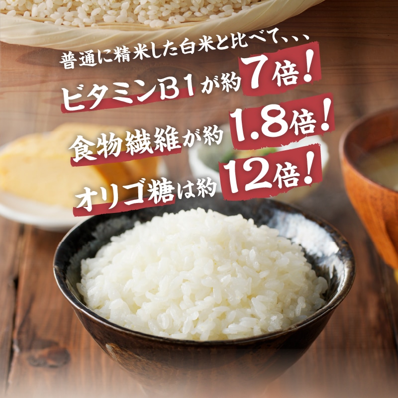 令和6年度新米先行予約】金芽米特別栽培米農林48号2kg×5（10kg