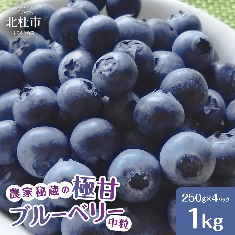 【2026年先行予約】7月～9月初旬発送！農家秘蔵の極甘ブルーベリー　中粒1kg（250g×4パック）