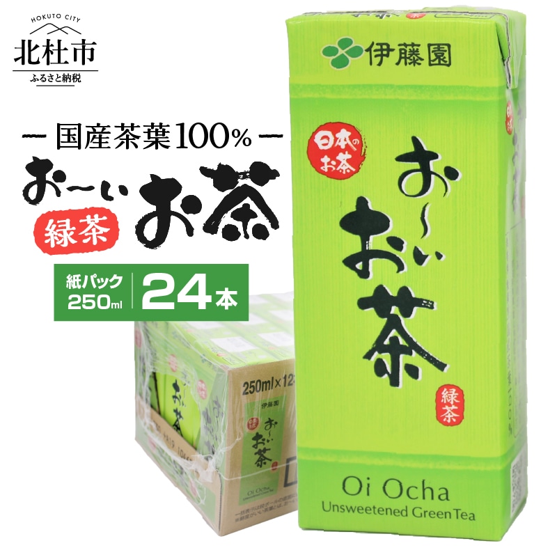 [ふるさと納税]お茶 伊藤園 おーいお茶 緑茶 国産茶葉 紙パック 1ケース24本 250ml ケース ドリンク 配達 送料無料