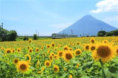 鹿児島県指宿市