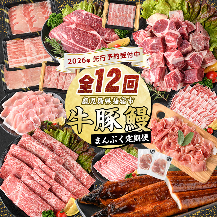 [2026年発送 先行予約][全12回定期便]鹿児島自慢の 豚 ・ 牛 ・ うなぎ まんぷく 定期便 (水迫畜産/Z100-1773) 頒布会 頒布 定期 国産 肉 豚 牛 豚肉 牛肉 鹿児島県産 生ハム すき焼き 和牛 国産牛 薄切り スライス 黒毛和牛 霜降り バラ ロース 黒豚 鍋 しゃぶしゃぶ カルビ 小分け カレー シチュー ステーキ 焼き肉 焼肉 指宿 鹿児島 いぶすき