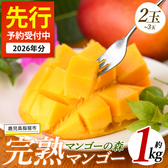 【2026年 発送】しあわせ完熟マンゴー2~3玉入り(マンゴーの森/022-1769) マンゴー フルーツ 果物 旬 夏 指宿 いぶすき 鹿児島  完熟  お供え 御供 ギフト 贈り物 プレゼント グルメ 予約 先行予約 南国 南国フルーツ 果実 マンゴー グランプリ マイスター 太陽 国産 鹿児島県産 果汁