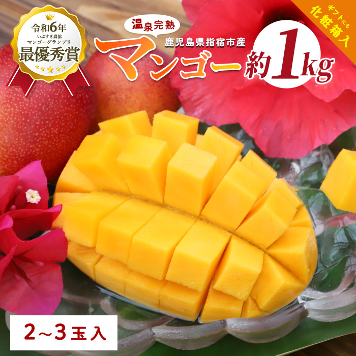 【2026年 発送 先行予約】鹿児島県いぶすき産 温泉完熟マンゴー約1kg(T&P/022-1752) マンゴー フルーツ 果物 旬 夏 指宿 いぶすき 鹿児島  完熟  お供え 御供 ギフト 贈り物 プレゼント グルメ 予約 先行予約 南国 南国フルーツ 果実 マンゴー 太陽 国産 鹿児島県産 果汁