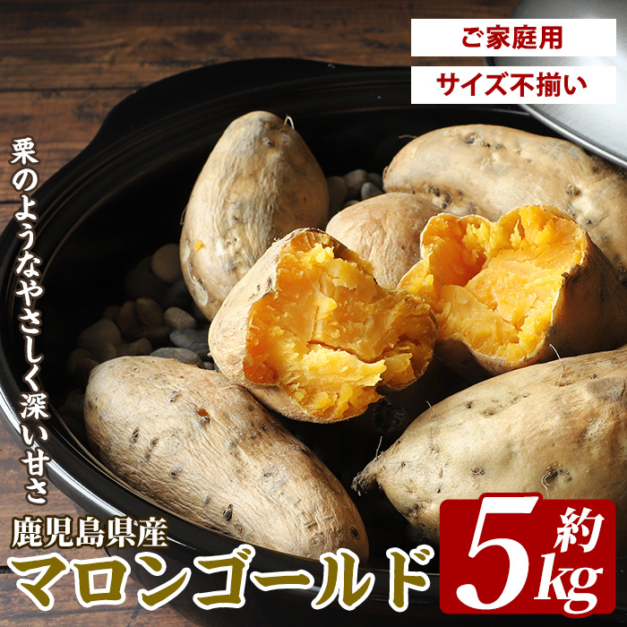 鹿児島県産マロンゴールド約5kg(JAいぶすき/010-1785) さつまいも 鹿児島 家庭用 サイズ 不揃い 芋 焼き芋 天ぷら