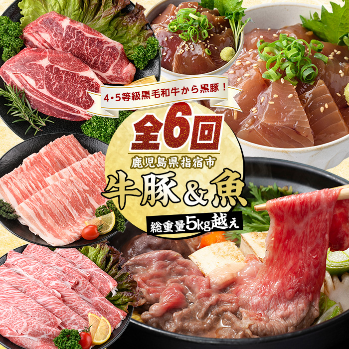 [全6回定期便][総重量5kg越え]4・5等級黒毛和牛・黒豚・マグロ丼・カツオ丼・カツオのたたき・すり身定期便(水迫畜産/Z075-1983) 豚肉 牛肉 生ハム すき焼き 和牛 スライス 焼肉 ロース 黒豚 鍋 小分け ステーキ 焼き肉 かつお 指宿 鹿児島 いぶすき