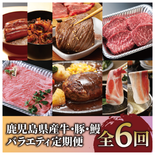 [全6回定期便]鹿児島県産牛・豚・鰻バラエティ定期便(Z100-2044) 牛肉 豚肉 うなぎ 鹿児島県産 鹿児島産 国産 定期 頒布会 スライス しゃぶしゃぶ すき焼き ハンバーグ 黒牛 黒豚 鹿児島黒牛 茶美豚 チャーミートン 焼肉 蒲焼 うなぎ蒲焼 6回