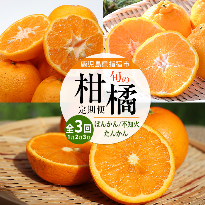 【全3回定期便】みかん尽くし定期便(迫田果樹園/Z035-1868) ぽんかん 不知火 ( しらぬい ) たんかん みかん フルーツ 柑橘 旬 果物 いぶすき 指宿 鹿児島 開聞 完熟 果実 春
