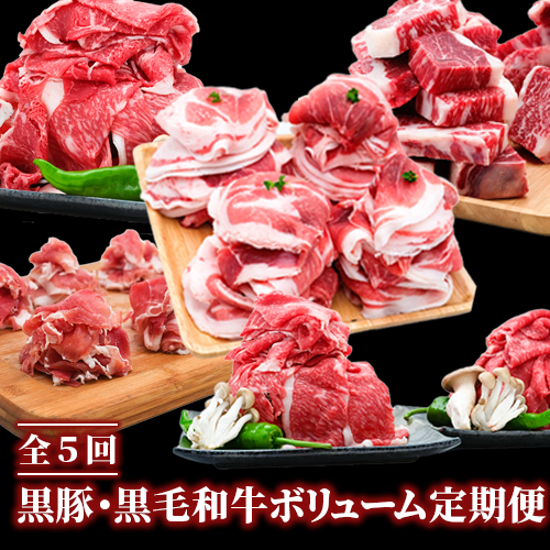 【全５回定期便】黒豚 ・ 黒毛 和牛 ボリューム 定期便7月～11月発送(水迫畜産/Z050-598) 豚 牛 肉 生ハム 切り落とし カレー シチュー 肉じゃが 生姜焼き 家庭用 豚肉 牛肉 国産 鹿児島県産 鹿児島 指宿 いぶすき 頒布会 定期 定期便