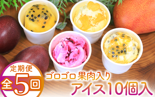 【全５回定期便】ゴロゴロ果肉入りアイス10個入定期便(マンゴーの森/Z100-290) アイス フルーツ マンゴー スイーツ シャーベット